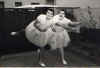 ballerina.jpg (19307 Byte)